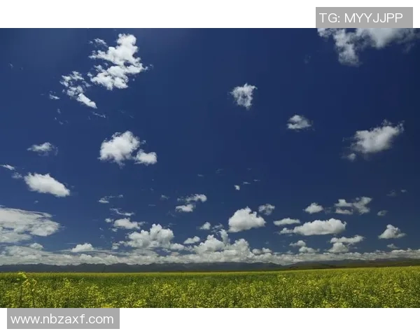 足球的灵魂之旅：深入探讨北京足球队的战术与精神内涵