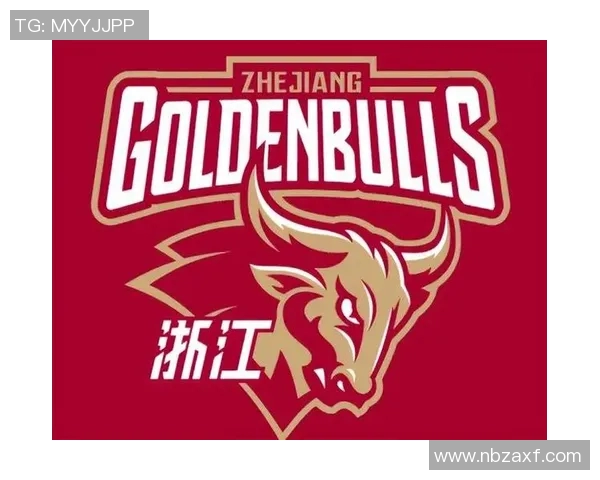 购买CBA球队的市场情况与投资建议