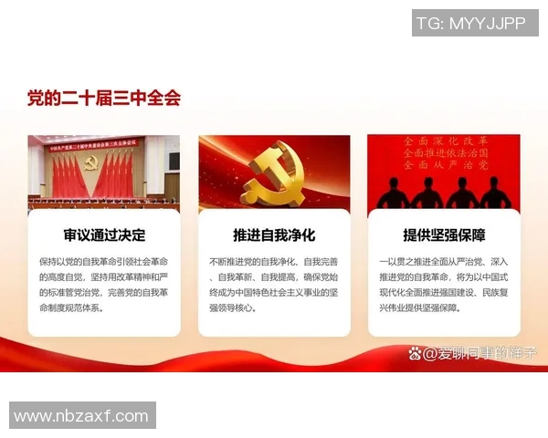 上海网球队运营分析：成功经验与面临挑战的全面探讨